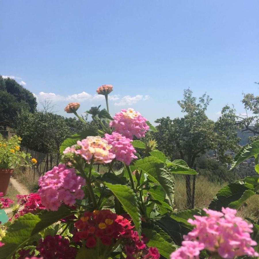 La Riggiola Bed & Breakfast Салерно Екстериор снимка
