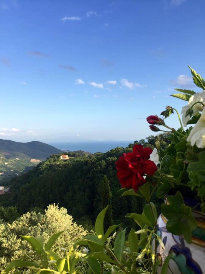 La Riggiola Bed & Breakfast Салерно Екстериор снимка