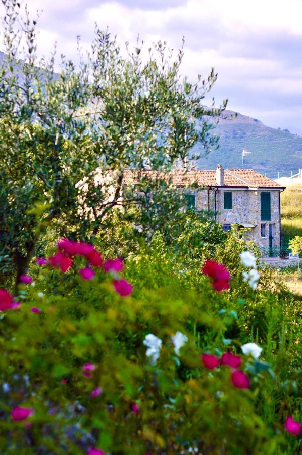 La Riggiola Bed & Breakfast Салерно Екстериор снимка